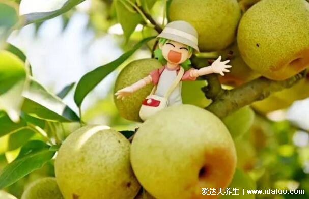 10种最去肝火的水果，梨/柠檬/荸荠/葡萄/西红柿(附养肝护肝茶)