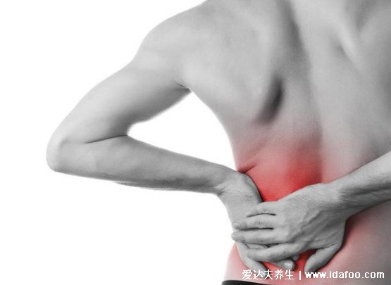 肾疼和腰疼的区别图解图片，肾疼在侧腹腰疼在背部