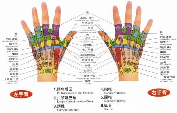 人体手部经络图及功用解析，小拇指警惕月经病