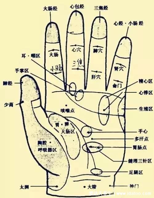 人体手部经络图及功用解析，小拇指警惕月经病