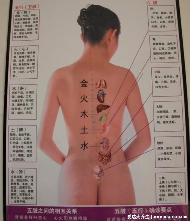 腹部疼痛位置图，右下和左侧疼的女性要注意了(腹痛自诊方法)