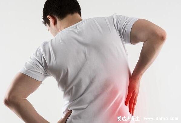 肝不好后背疼的位置图，警惕反复的右肩膀/右上腹部的钝痛