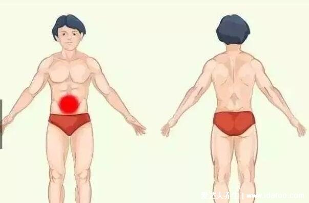 最全左腹部疼痛对照表，左中腹部的疼痛是肾疼不要和背痛混淆