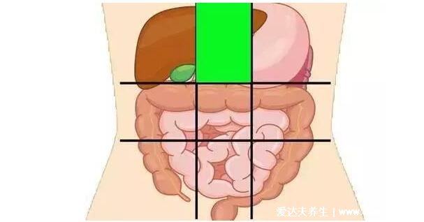 详细上腹部疼痛的位置图，不一定是胃疼还可能是这3大疾病