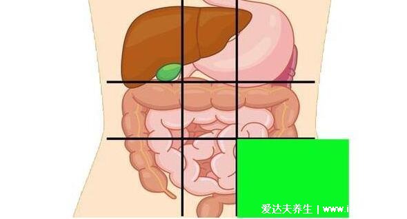 女性左侧腹疼痛位置图，左中上下腹疼分别对应的疾病不同