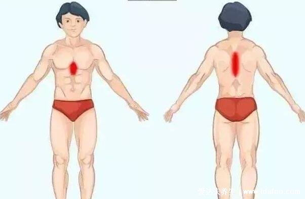 女性左侧腹疼痛位置图，左中上下腹疼分别对应的疾病不同