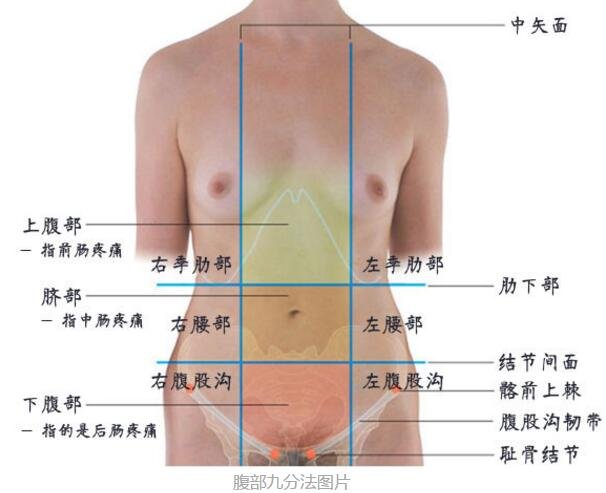 腹部疼痛9位置图，9个不同部位代表不同疾病(腹部九分法)