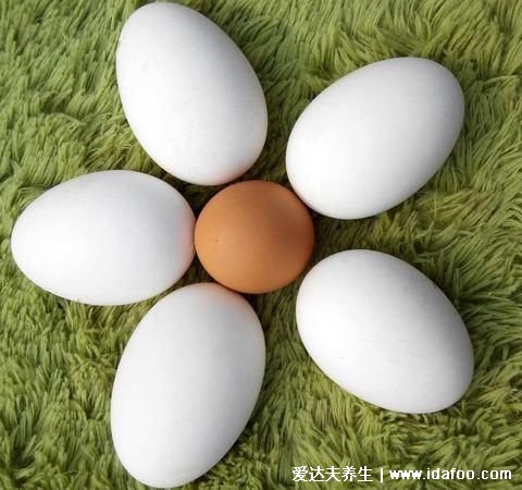 鹅蛋的功效与作用怎么吃最营养，男人壮阳/女人预防妇科疾病