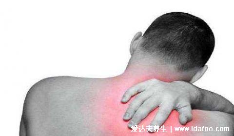 肝不好后背哪个位置疼图片，右侧肩背部的位置会疼痛
