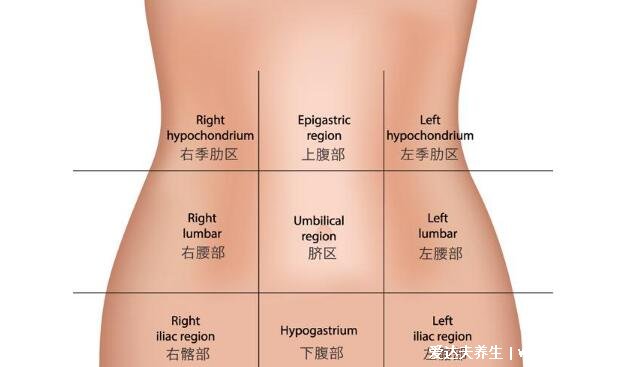 男性左上腹疼痛位置图，腹部疼痛地图告诉你各处疼痛的原因