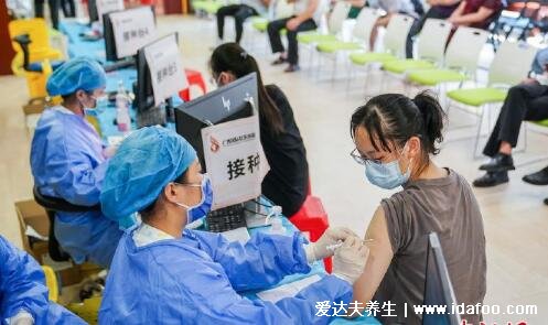 中国三种新冠疫苗哪个好，选什么保护率最高(cho抗体中和率最高)