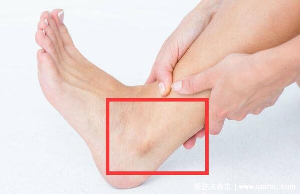 脚踝各个部位疼痛图解，脚踝后侧可能是跟腱炎(附脚底疼痛部位图解)