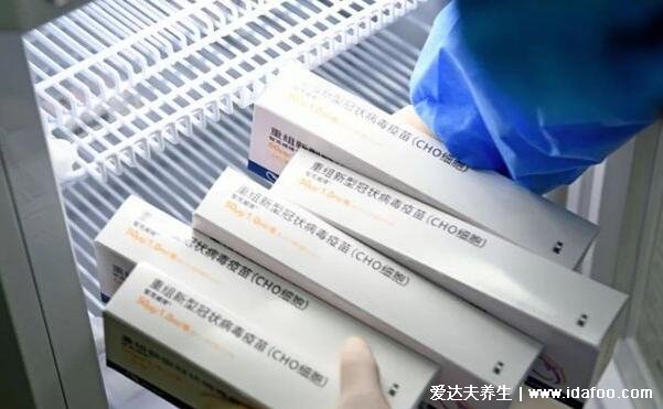 安徽智飞新冠疫苗和北京生物哪个好，区别不大附疫苗接种后注意事项
