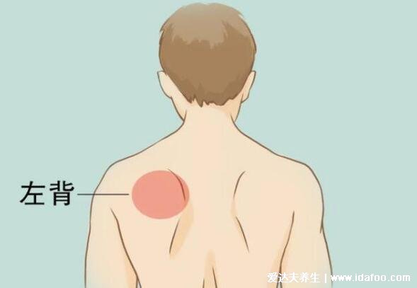 身体背部各部位疼痛对照图，非常实用的器官疼痛病情对照图