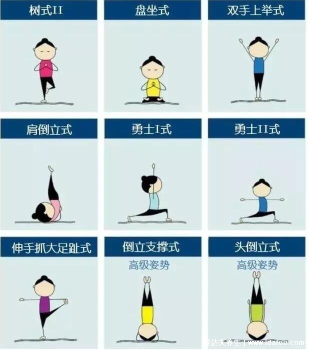 超简单的初学瑜伽24式图，这9式可以练出翘臀