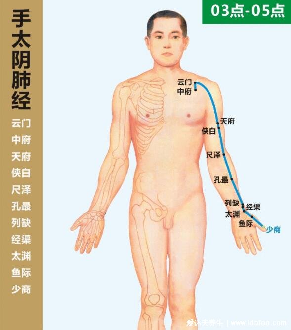 六条手背上经络图对应的器官，按摩5个手指可缓解全身疾病(图片)