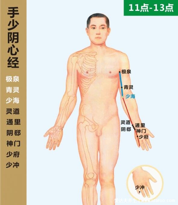 六条手背上经络图对应的器官，按摩5个手指可缓解全身疾病(图片)
