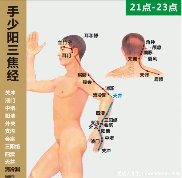6条人体手上经络图，刮一刮手指就有全身保健的效果