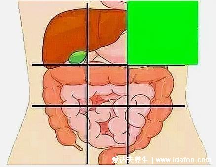 女性左上腹疼痛位置图，警惕胃病和胰腺炎