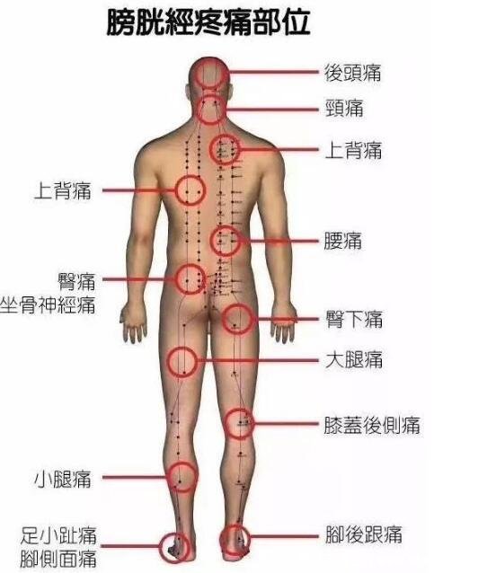 18个痛点的准确位置图，教你寻找全身痛点并消除疼痛