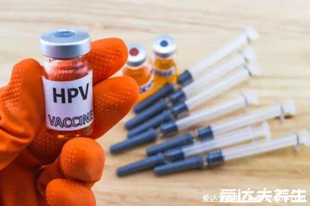 hpv疫苗二价四价九价区别，预防病毒效果有差异（附价格一览表）