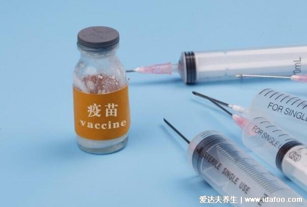 VαcCine是什么疫苗名称，就是疫苗的英文不特指某一种疫苗