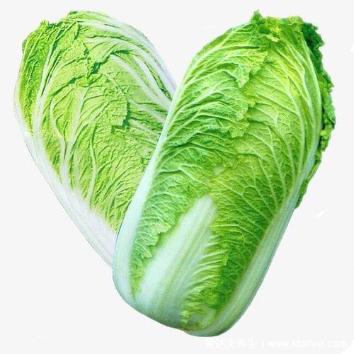 世界公认十大健康蔬菜排行榜前十名，白菜能预防乳腺癌