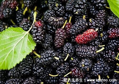 农村山里常见的水果图片和名称，树莓和桑葚你见过（小时候常吃）