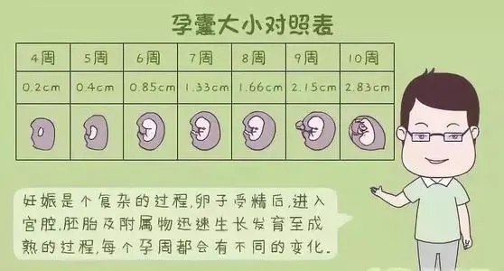 孕囊大小对照表看男女，怀孕10周小于2.83cm要小心流产
