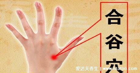 合谷穴的准确位置图，拇指食指交界的虎口处(按摩合谷穴的功效)