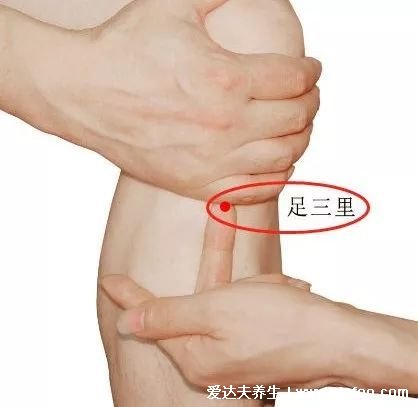 穴位足三里的准确位置图片，在膝盖凹陷下方（四个手指距离）