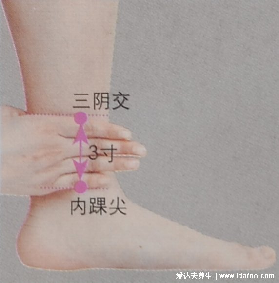 准确三阴焦位置图和作用，在脚踝上面四指的距离(附按摩视频)