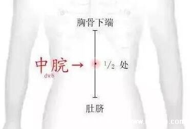 中脘的准确位置定位图片，胸骨和肚脐中间(肚脐上方4寸)