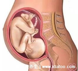 怀孕1一9月肚子变化图片，前9周没有变化(附详真人变化视频)
