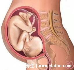 怀孕1一9月肚子变化图片，前9周没有变化(附详真人变化视频)