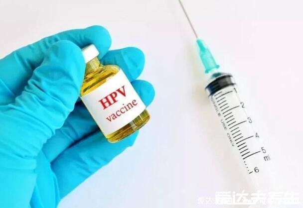 HPV二价四价九价哪个值得打，都预防病毒(九价预防病毒类型多)