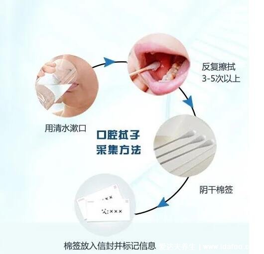 口腔拭子采集方法图解取样部位图示 ，棉签擦拭脸颊内侧口腔