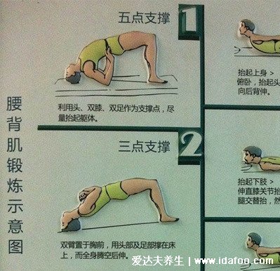 腰突的最佳锻炼方法图解，这四个动作就很简单（试试五点式）