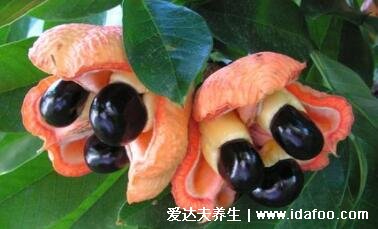 世界十大奢侈水果排名，黑皮西瓜最贵(一个价格高达1.7万人民币)