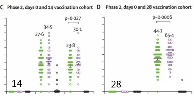 第二针新冠疫苗必须在28天内打吗，最好28天不要超过56天即可