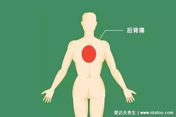 身体各部位疼痛对照图，包括腹部/腰部/背部疼(左上腹小心胃病)