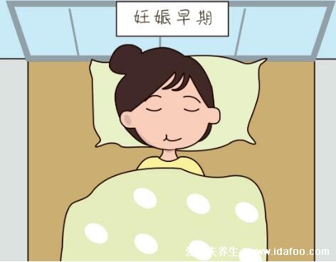孕妇睡觉的正确姿态，怀孕期间左侧卧最理想(早期仰卧也可以)