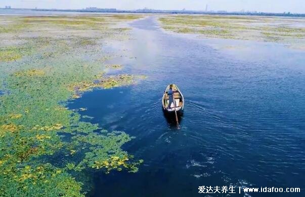 大闸蟹哪个地方的最好最出名，中国十大湖大闸蟹排名