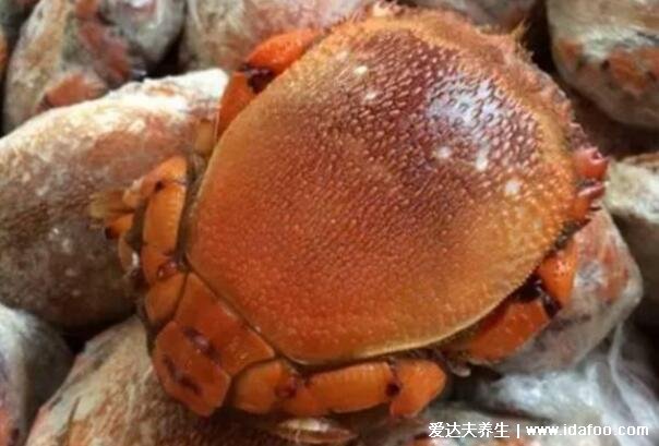 海边十种最常见的螃蟹，国内常见的蟹类大全图片