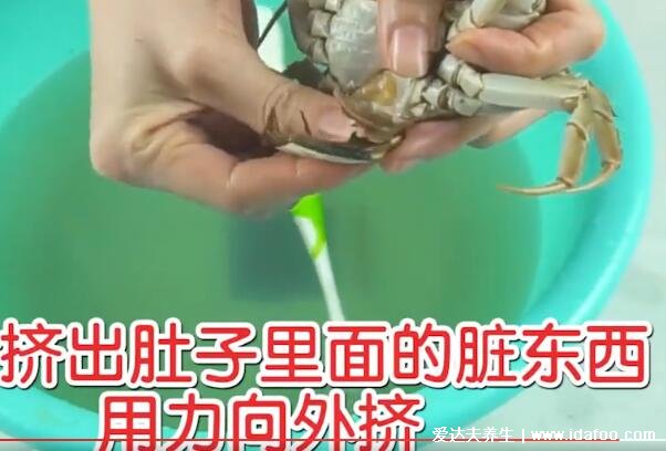 大闸蟹怎么杀怎么清洗干净视频，腹部最脏要挤干净(附螃蟹4不吃)