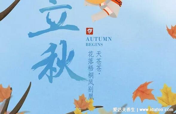 立秋吃饺子的寓意和象征，寓意五谷丰登也是为了贴秋膘