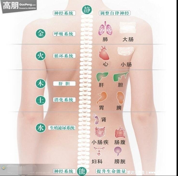 人体器官后背疼痛对应器官图，9处致命的心脏疼痛位置图