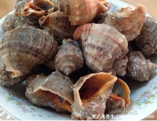 海螺的做法煮多长时间，最快5分钟不需要半小时 (大小海螺时间不同)  