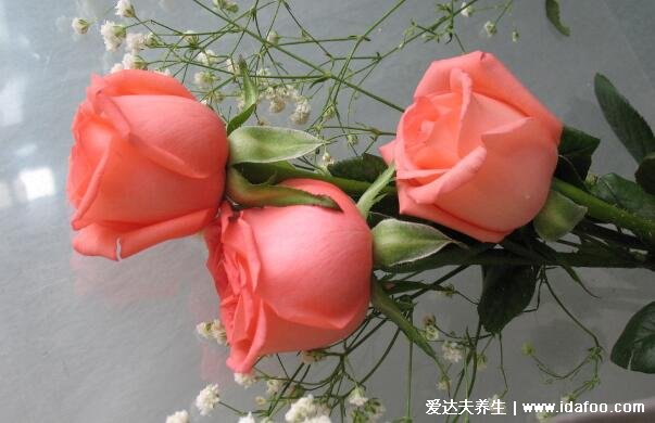 粉玫瑰不能随便送人，因为代表铭记于心的初恋(不要引起误会)