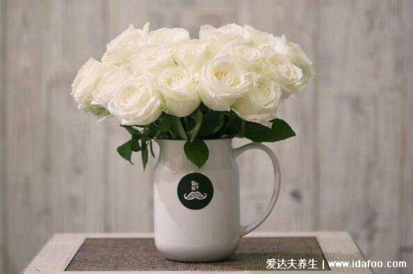 白玫瑰不能随便送人，象征纯洁美好的爱情但有一丝悲伤